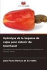 João Paulo Dantas de Carvalho - Hydrolyse de la bagasse de cajou pour obtenir du bioéthanol