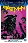 Mitch Gerads, Mikel Janin, Tom King - Batman Vol. 2: I Am Suicide (2024 Edition)