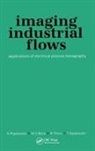 M S Beck, M.S Beck, M.S (UMIST Beck, Tom Dyakowski, A Plaskowski, A. Plaskowski... - Imaging Industrial Flows