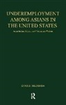 Anna B. Madamba - Underemployment Among Asians in the United States
