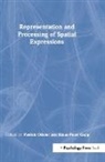 Klaus-Peter Gapp, Patrick Olivier - Representation and Processing of Spatial Expressions