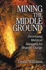David N. Williams - Mining The Middle Ground