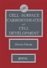 Minoru Fukuda - Cell Surface Carbohydrates and Cell Development