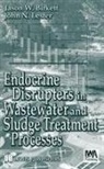 Jason W. Birkett, John N. Lester, Lester John N. - Endocrine Disrupters in Wastewater and Sludge Treatment Processes
