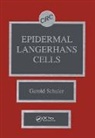 Gerold Schuler, Gerold (University of Innsbruck) Schuler, Schuler Gerold - Epidermal Langerhans Cells