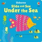 Fiona Watt, Stella Baggott - Slide and See Under the Sea