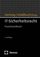 Gerrit Hornung, Gerrit Hornung (Prof. Dr.), Schallbruch, Martin Schallbruch - IT-Sicherheitsrecht