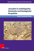 Yuval Gadot, Manfred Oeming, Yiftah Shalev - Jerusalem in archäologischer, historischer und theologischer Perspektive