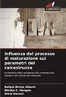 Rafael Alvise Alberti, Mirdes F. Hengen, Diele Hensel - Influenza del processo di maturazione sui parametri del calcestruzzo