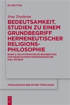Jens Trusheim - Jens Trusheim: Bedeutsamkeit. Studien zu einem Grundbegriff hermeneutischer Religionsphilosophie. 211/1-3 - Vol 211/2: Bedeutsamkeit. Studien zu einem Grundbegriff hermeneutischer Religionsphilosophie