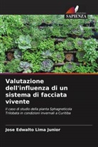 Jose Edwalto Lima Junior - Valutazione dell'influenza di un sistema di facciata vivente