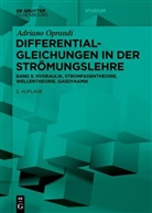 Adriano Oprandi - Differentialgleichungen in der Strömungslehre