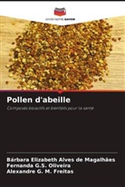 Bárbara Elizabeth Alves de Magalhães, Alexandre G. M. Freitas, Fernanda G. S. Oliveira, Fernanda G.S. Oliveira - Pollen d'abeille