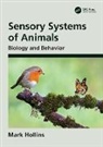 Mark Hollins, Hollins Mark - Sensory Systems of Animals