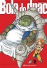 Akira Toriyama - Bola de Drac 18