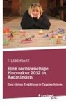 F LEBENSART, F. Lebensart - Eine sechswöchige Horrorkur 2012 in Radminden