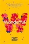 Harry Baker - Wonderful