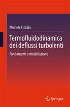 Michele Ciofalo - Termofluidodinamica dei deflussi turbolenti