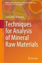 Carlos Pérez Bergmann - Techniques for Analysis of Mineral Raw Materials