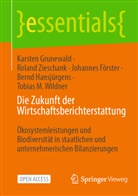 Joha Förster, Johannes Förster, Karsten Grunewald, Bernd Hansjürgens, Tobias M. Wildner, Roland Zieschank - Die Zukunft der Wirtschaftsberichterstattung