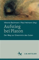 Viktoria Bachmann, Heimann, Raul Heimann - Aufstieg bei Platon