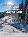 Terry McComb - The Gospel According to a Snowflake