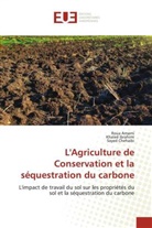 Roua Amami, Sayed Chehaibi, Khaled Ibrahimi - L'Agriculture de Conservation et la séquestration du carbone