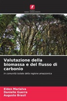 Augusto Brasil, Danielle Guerra, Elden Marialva - Valutazione della biomassa e del flusso di carbonio