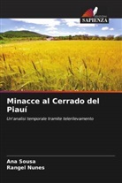 Rangel Nunes, Ana Sousa - Minacce al Cerrado del Piauí