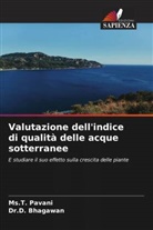 D. Bhagawan, Dr.D. Bhagawan, Ms. T. Pavani, Ms.T. Pavani - Valutazione dell'indice di qualità delle acque sotterranee