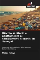 Modou Ndiaye - Rischio sanitario e adattamento ai cambiamenti climatici in Senegal