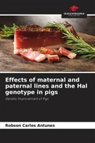 Robson Carlos Antunes - Effects of maternal and paternal lines and the Hal genotype in pigs