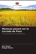 Rangel Nunes, Ana Sousa - Menaces pesant sur le Cerrado de Piauí