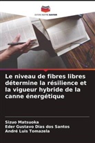 Eder Gustavo Dias dos Santos, André Luis Tomazela, Sizuo Matsuoka - Le niveau de fibres libres détermine la résilience et la vigueur hybride de la canne énergétique