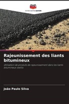 João Paulo Silva - Rajeunissement des liants bitumineux