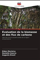 Augusto Brasil, Danielle Guerra, Elden Marialva - Évaluation de la biomasse et des flux de carbone