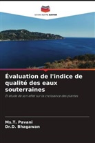 D. Bhagawan, Dr.D. Bhagawan, Ms. T. Pavani, Ms.T. Pavani - Évaluation de l'indice de qualité des eaux souterraines