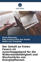 Eder Gustavo Dias dos Santos, Luis, André Luis Tomazela, Sizuo Matsuoka - Der Gehalt an freien Fasern ist ausschlaggebend für die Widerstandsfähigkeit und Wuchsstärke von Energiepflanzen