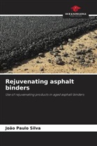 João Paulo Silva - Rejuvenating asphalt binders