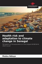 Modou Ndiaye - Health risk and adaptation to climate change in Senegal