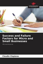 Cláudio Viapiana - Success and Failure Factors for Micro and Small Businesses