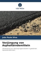 João Paulo Silva - Verjüngung von Asphaltbindemitteln
