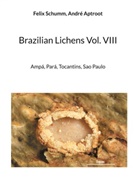 Felix Schumm - Brazilian Lichens Vol. VIII