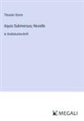 Theodor Storm - Aquis Submersus; Novelle
