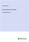 Theodor Storm - Aquis Submersus; Novelle
