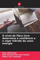 Eder Gustavo Dias dos Santos, André Luis Tomazela, Sizuo Matsuoka - O nível de fibra livre determina a resiliência e o vigor híbrido da cana-energia