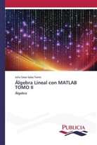 Julio Cesar Salas Torres - Álgebra Lineal con MATLAB TOMO II