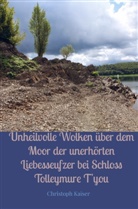 Christoph Kaiser, Christoph Kaiser - Unheilvolle Wolken über dem Moor der unerhörten Liebesseufzer bei Schloss Tolleymure t'you