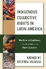 Katherine Becerra Valdivia - Indigenous Collective Rights in Latin America