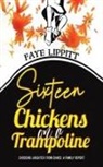 Faye Lippitt - Sixteen Chickens on a Trampoline